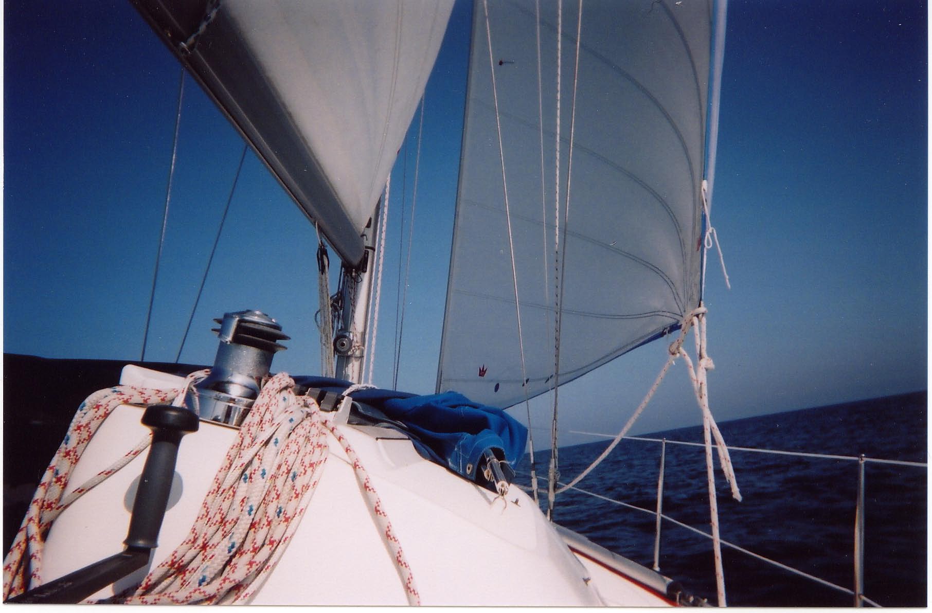 Corporate Team Sailing