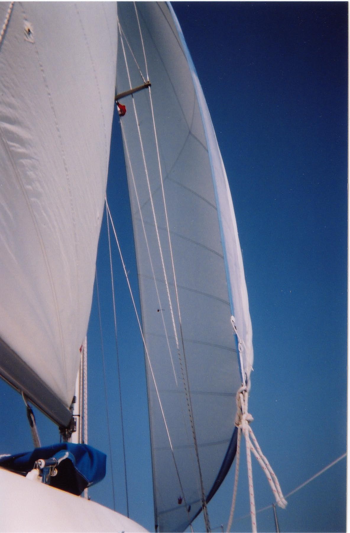 Corporate Team Sailing